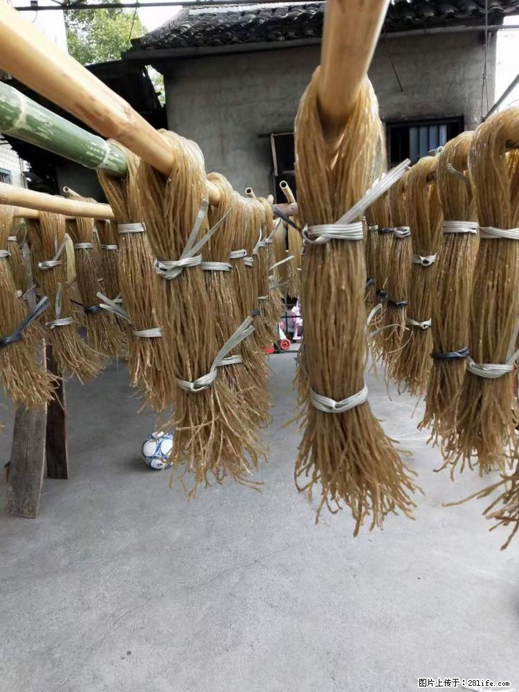 【灌阳正宗红薯粉】美女家里自己做的，干净卫生，假一赔十，价格合理，抢购电话：13737312895 - 美食天地 - 梧州生活社区 - 梧州28生活网 wuzhou.28life.net