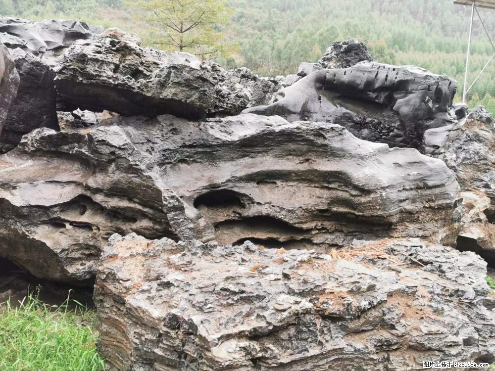 风景石、假山石大量有货，有需要的欢迎联系 - 新手上路 - 梧州生活社区 - 梧州28生活网 wuzhou.28life.net