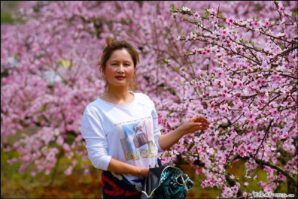 【春天，广西桂林灌阳县向您发出邀请！】官庄村有个醉美的桃花园 - 游山玩水 - 梧州生活社区 - 梧州28生活网 wuzhou.28life.net