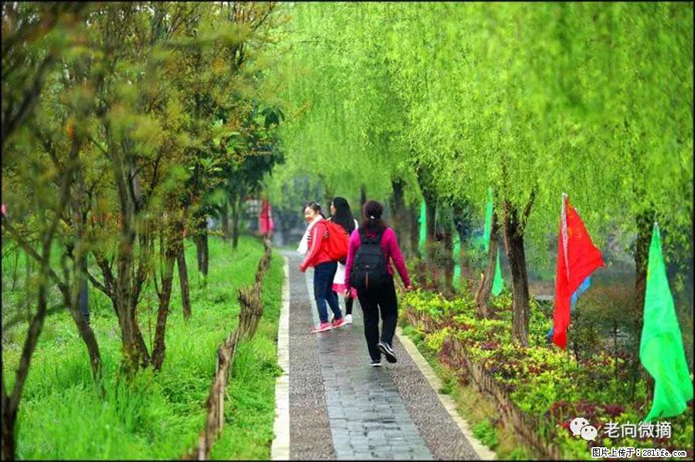 【春天，广西桂林灌阳县向您发出邀请！】江口老街又逢春 - 游山玩水 - 梧州生活社区 - 梧州28生活网 wuzhou.28life.net