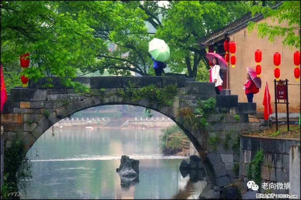 【春天，广西桂林灌阳县向您发出邀请！】江口老街又逢春 - 游山玩水 - 梧州生活社区 - 梧州28生活网 wuzhou.28life.net