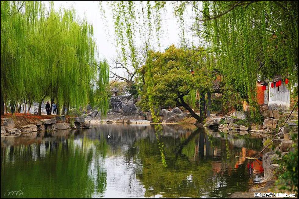 【春天，广西桂林灌阳县向您发出邀请！】江口老街又逢春 - 游山玩水 - 梧州生活社区 - 梧州28生活网 wuzhou.28life.net