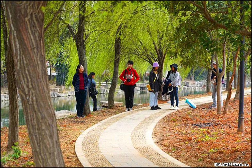 【春天，广西桂林灌阳县向您发出邀请！】江口老街又逢春 - 游山玩水 - 梧州生活社区 - 梧州28生活网 wuzhou.28life.net