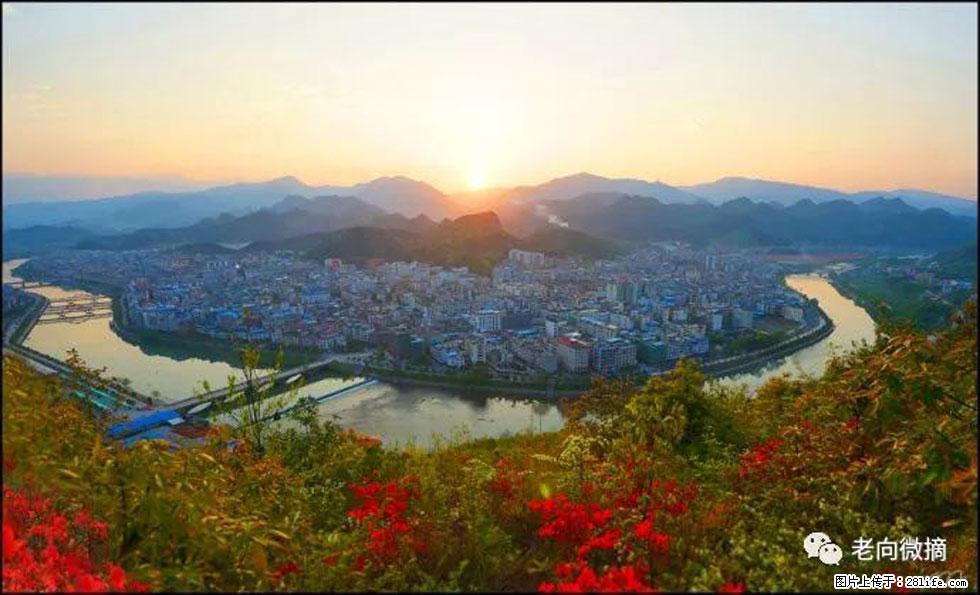 【春天,广西桂林灌阳县向您发出邀请!】登麒麟山,相约映山红 - 游山玩水 - 梧州生活社区 - 梧州28生活网 wuzhou.28life.net