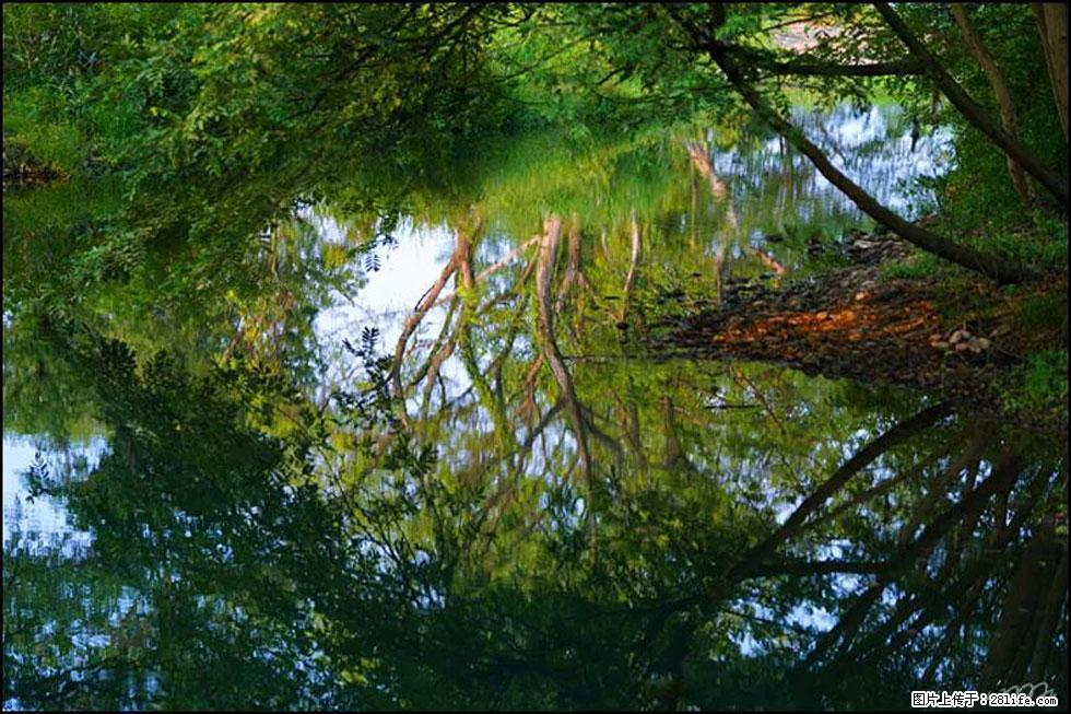 【春天，广西桂林灌阳县向您发出邀请！】熊家寨湿地公园 - 游山玩水 - 梧州生活社区 - 梧州28生活网 wuzhou.28life.net