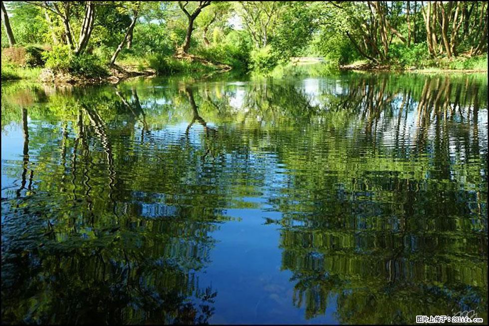 【春天，广西桂林灌阳县向您发出邀请！】熊家寨湿地公园 - 游山玩水 - 梧州生活社区 - 梧州28生活网 wuzhou.28life.net