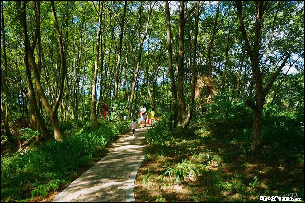 【春天，广西桂林灌阳县向您发出邀请！】熊家寨湿地公园 - 游山玩水 - 梧州生活社区 - 梧州28生活网 wuzhou.28life.net