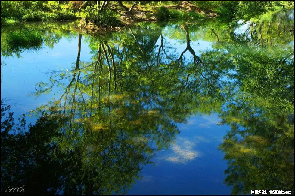 【春天，广西桂林灌阳县向您发出邀请！】熊家寨湿地公园 - 游山玩水 - 梧州生活社区 - 梧州28生活网 wuzhou.28life.net
