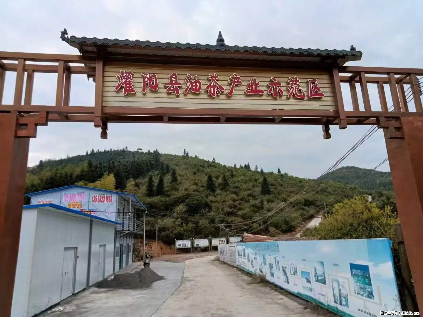 【灌阳县油茶产业示范区】一个有着充实的精神生活的人,对待身外之物自会有一种淡泊的态度 - 美食天地 - 梧州生活社区 - 梧州28生活网 wuzhou.28life.net