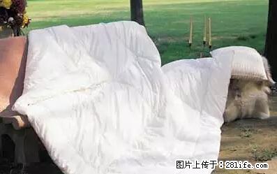 被子有异味?只要这样做,比晒太阳还强100倍! - 家居生活 - 梧州生活社区 - 梧州28生活网 wuzhou.28life.net