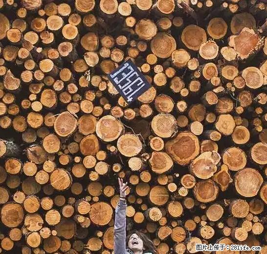 辞掉工作周游世界?现在他们在洗厕所…… - 游山玩水 - 梧州生活社区 - 梧州28生活网 wuzhou.28life.net