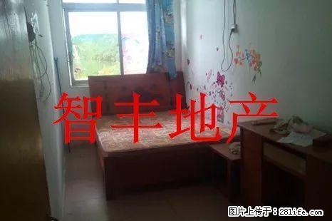 太阳广场旁边 1房1厅 拎包可入住 省心 - 房屋出租 - 房屋租售 - 梧州分类信息 - 梧州28生活网 wuzhou.28life.net