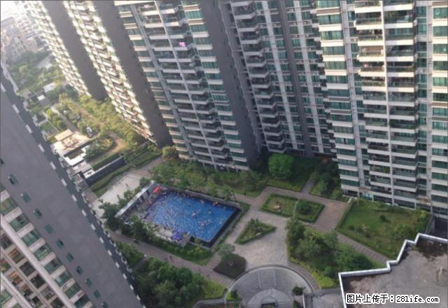 太阳广场 优质小区 温馨两房 家电家私齐全 拎包入住 - 房屋出租 - 房屋租售 - 梧州分类信息 - 梧州28生活网 wuzhou.28life.net