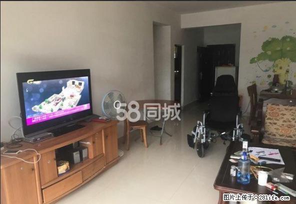可短期 西环路枣冲富安小区 电梯房拎包入住 - 房屋出租 - 房屋租售 - 梧州分类信息 - 梧州28生活网 wuzhou.28life.net