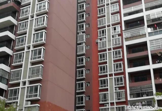 新兴三路 红岭1号电梯首层 三祺城玫瑰湾周边 - 房屋出租 - 房屋租售 - 梧州分类信息 - 梧州28生活网 wuzhou.28life.net