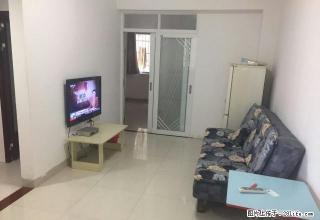 蝶山 紫荆花园 1室 1厅 50平米 - 梧州28生活网 wuzhou.28life.net