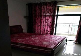 恒祥豪苑精装电梯一房一厅 - 梧州28生活网 wuzhou.28life.net
