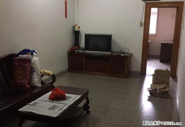 三人合租 仅需三十多块一天 振兴小学防疫站附近新兴一路 - 房屋出租 - 房屋租售 - 梧州分类信息 - 梧州28生活网 wuzhou.28life.net