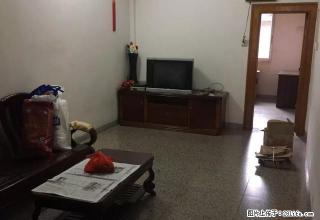 三人合租 仅需三十多块一天 振兴小学防疫站附近新兴一路 - 梧州28生活网 wuzhou.28life.net