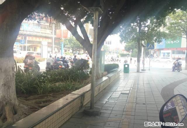 街边商铺，面积大，可用于多种销售用，交通方便，近邻商业圈 - 房屋出租 - 房屋租售 - 梧州分类信息 - 梧州28生活网 wuzhou.28life.net