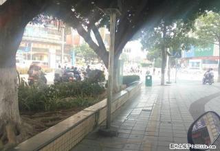 街边商铺，面积大，可用于多种销售用，交通方便，近邻商业圈 - 梧州28生活网 wuzhou.28life.net
