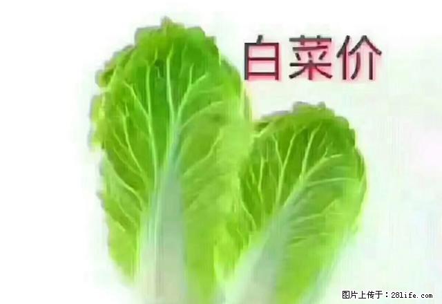 太阳广场 恒祥豪苑1房 家电家私齐全 拎包入住 不容错过 - 房屋出租 - 房屋租售 - 梧州分类信息 - 梧州28生活网 wuzhou.28life.net