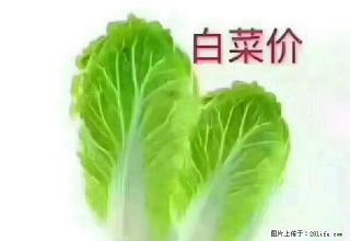 太阳广场 恒祥豪苑1房 家电家私齐全 拎包入住 不容错过 - 梧州28生活网 wuzhou.28life.net