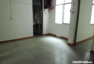 枣冲小区路口旁1房出租500元拎包入住 - 梧州28生活网 wuzhou.28life.net
