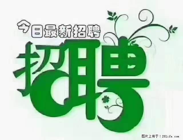 【招聘摄像师】待遇：试用期6000元/月，转正7000元/月+五险一金+餐补+节日福利+奖金 - 其他招聘信息 - 招聘求职 - 梧州分类信息 - 梧州28生活网 wuzhou.28life.net