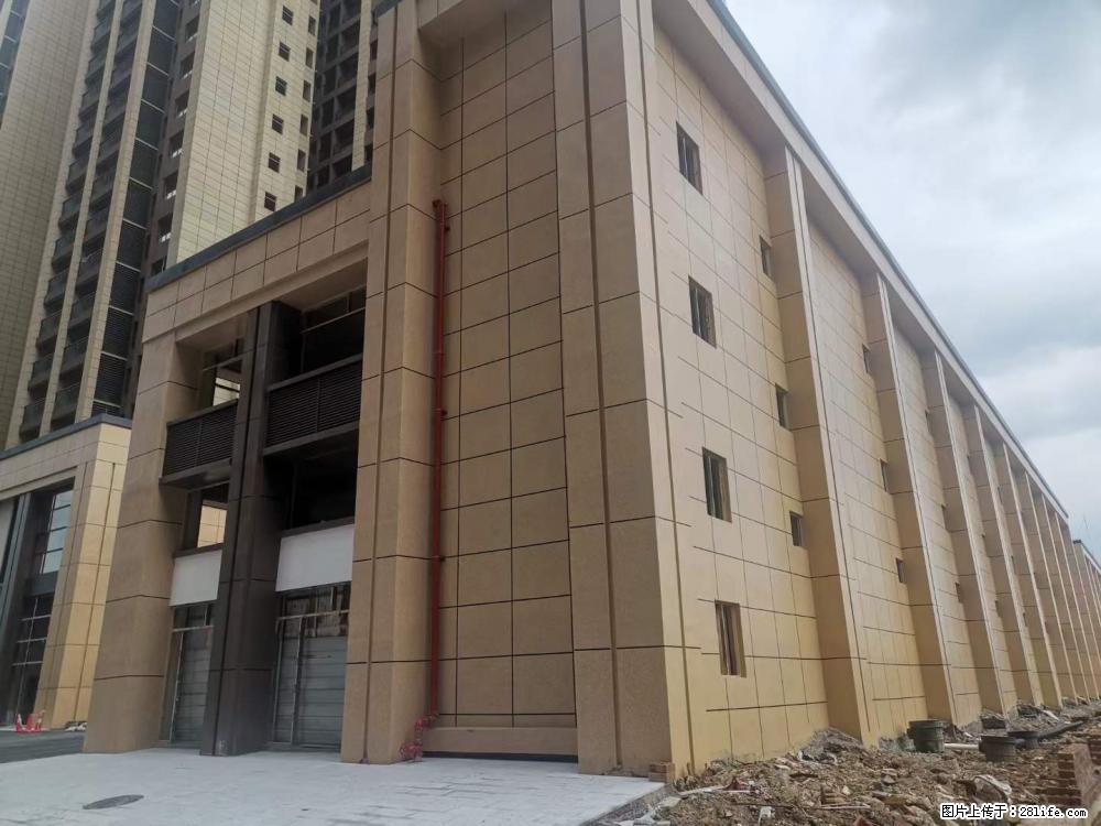 【广西三象建筑安装工程有限公司】外墙涂料工程 - 新手上路 - 梧州生活社区 - 梧州28生活网 wuzhou.28life.net