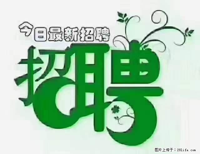 上海隔离酒店招人：55岁以下 男女不限 - 职场交流 - 梧州生活社区 - 梧州28生活网 wuzhou.28life.net