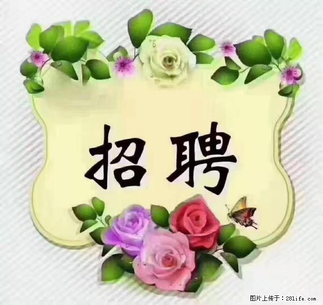 【招聘】住家育儿嫂，上户日期：4月4日，工作地址：上海 黄浦区 - 职场交流 - 梧州生活社区 - 梧州28生活网 wuzhou.28life.net