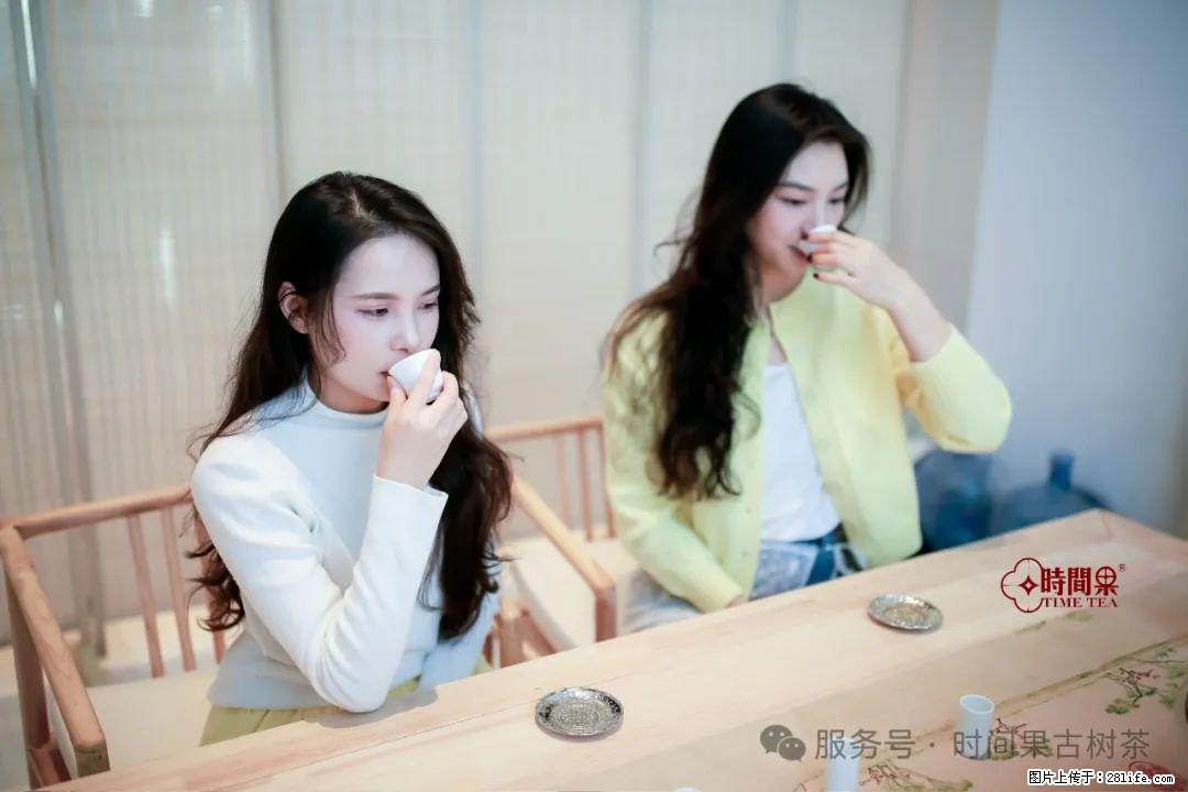 时间果百年古树龙珠普洱生茶 - 购物交流 - 梧州生活社区 - 梧州28生活网 wuzhou.28life.net