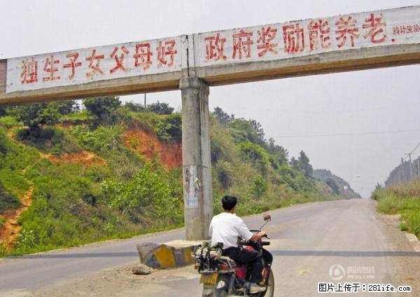 全面两孩政策计划明年元旦起实施 夫妻可延长生育假 - 梧州生活资讯 - 梧州28生活网 wuzhou.28life.net