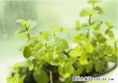 晕车、脚气、牙齿变黄、皮肤粗糙？学会这些三分钟搞定！ - 梧州生活资讯 - 梧州28生活网 wuzhou.28life.net
