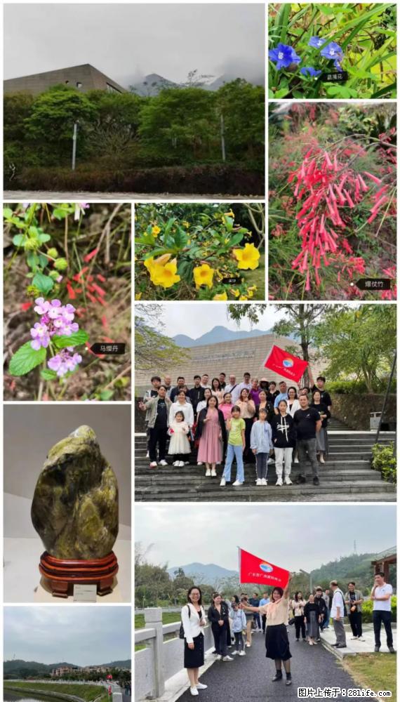 “粤灌文化 美好生活”油茶文化主题活动在广东深圳成功举办 - 梧州生活资讯 - 梧州28生活网 wuzhou.28life.net