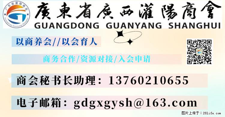“粤灌文化 美好生活”油茶文化主题活动在广东深圳成功举办 - 梧州生活资讯 - 梧州28生活网 wuzhou.28life.net