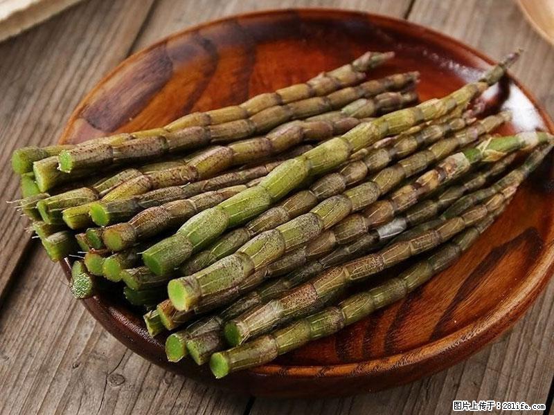 铁皮石斛的作用与功能主治 - 梧州生活资讯 - 梧州28生活网 wuzhou.28life.net